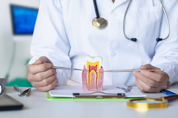 Best Emergency Treatment for Dental Infections or Abscesses in Woodside, PA